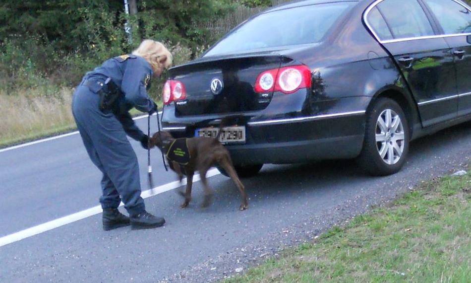 2013-9-25-941050a úprava.jpg